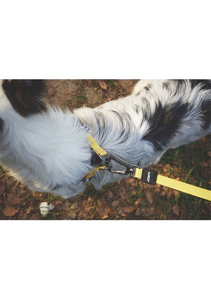 Wild Safari Köpek Gezdirme Kayışı Sarı Large-Xlarge 2X120 cm modelleri
