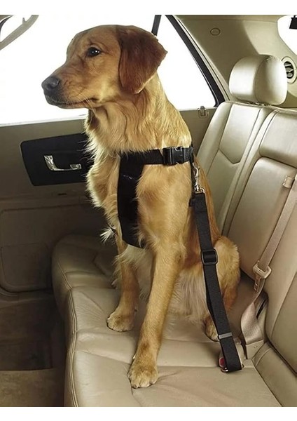 Evcil Hayvan Araç Emniyet Kemeri Kedi Köpek Araba Oto Tasması Oto Aksesuarları (Siyah)