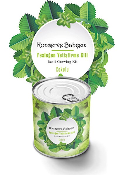 2 Adet Konserve Fesleğen Yetiştirme Kiti KB012