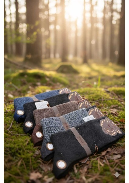 Lambswool (Yün) Erkek Çorap Dikişsiz 5'li Asorti Paket fiyatları