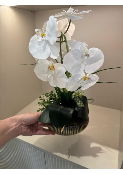 Yapay Orkideli Küçük Boy Çizgili Yassı Vazo No:1 fiyatları