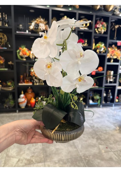 Yapay Orkideli Küçük Boy Çizgili Yassı Vazo No:1 modelleri