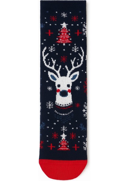 Asetat Kutulu Yılbaşı Hediyesi-Şık Ambalajında Renkli Kış Çorabı fiyatları