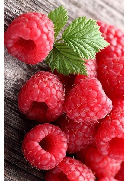 Kırmızı Ahududu Tohumu / 5 Adet Tohum fiyatları