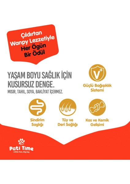 Hediyeli Tahılsız Tavuklu Yetişkin Köpek Maması 1,5 kg + 4lü Yaş Mama 90GR Hediyeli! fırsatları