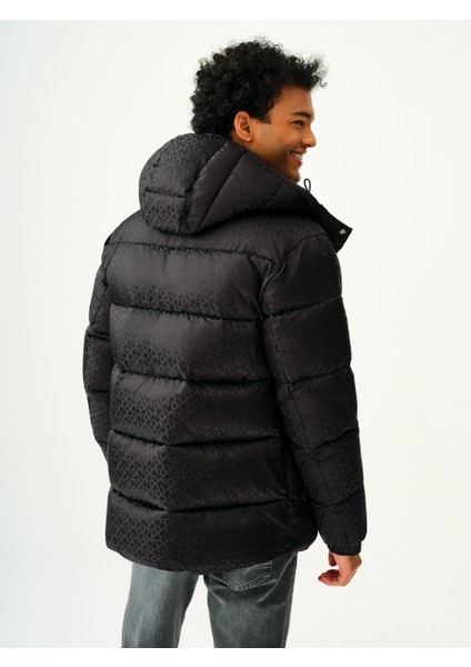 LF2036962 Mont modelleri