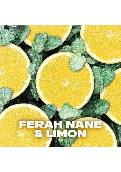 Erkek Deodorant Sprey Ice Chill 150 ml fırsatları