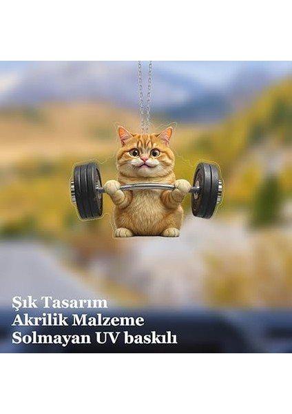 Ayna Süsü Halterci Kedi, Pleksi Malzeme, Uv Baskılı 001 fiyatları