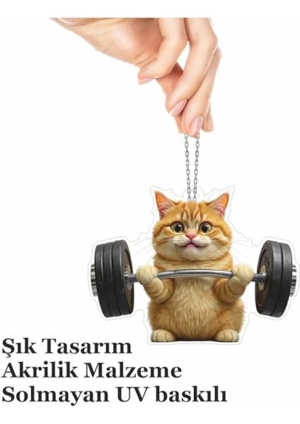 Ayna Süsü Halterci Kedi, Pleksi Malzeme, Uv Baskılı 001 fırsatları