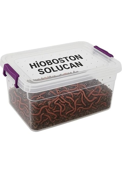 Kaliforniya SOLUCANI(100 Adet SOLUCAN+200GR Fermente Yem+2litre Plastik Bakım Evi) -Evde Kompost Için Canlı Solucan Paketi-Solucan Gübresi Üretimi Için Canlı Solucan fiyatları