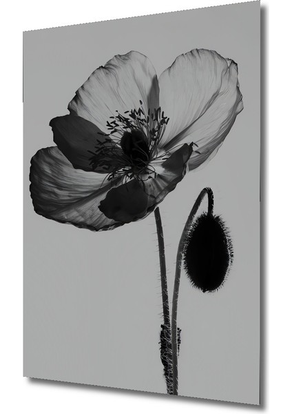 Dekoratif Ahşap Dikdörtgen Tablo Gelincik Çiçeği fiyatları