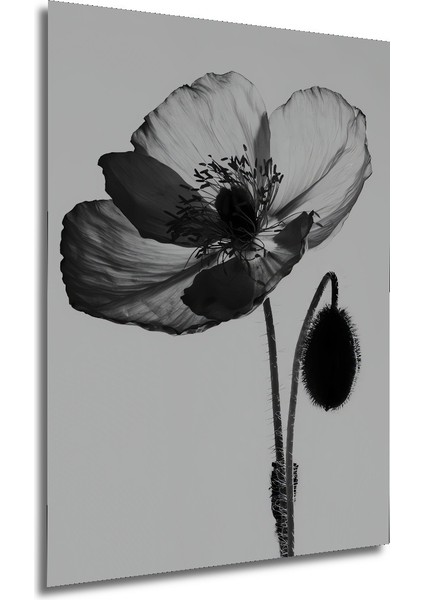 Dekoratif Ahşap Dikdörtgen Tablo Gelincik Çiçeği modelleri