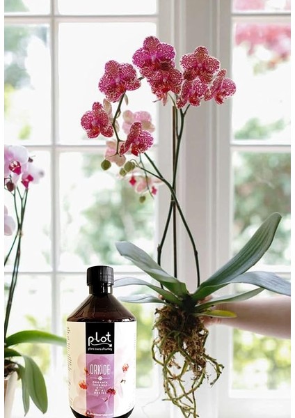 Orkide Organik Içerikli Bitki Besini 500 ml Sıvı Gübre