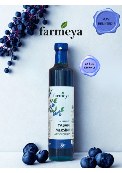 Yaban Mersini Özü 700 gr - Yaban Mersini Meyveli Şurup