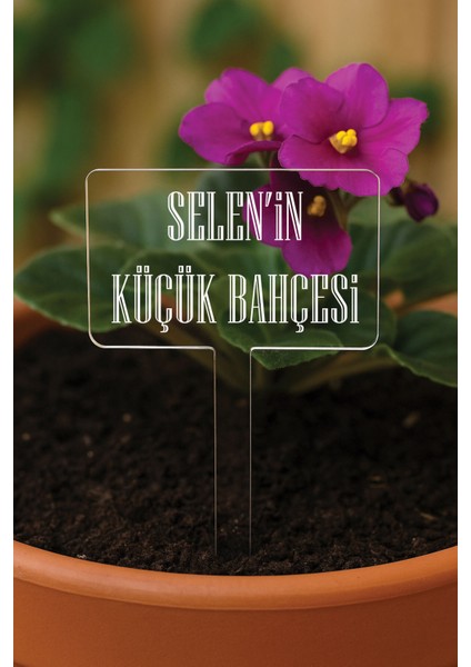 Kişiye Özel Isim Kelime Yazılı Uv Baskılı Şeffaf Dekoratif Pleksi Saksı Süsü - Tasarım 1