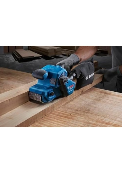 Professional Zımpara Gbs 750 modelleri