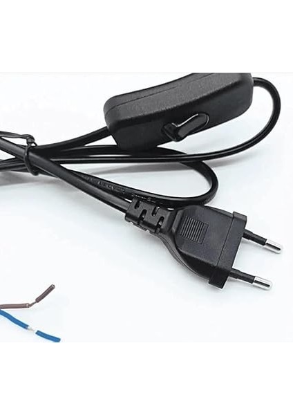 & Anahtarlı Arapuarlı Hazır Kablo | 2 Metre Siyah Uzatma Kablosu | 0,50 Mm² Kesit | Aplik, Abajur, Masa Lambası, LED Trafosu ve Tuz Lambası Için indirimleri