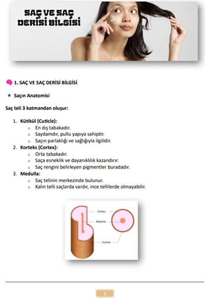 Kadın Kuaförlüğü Kalfalık-Ustalık Sınavları Hazırlık Kitabı fiyatları