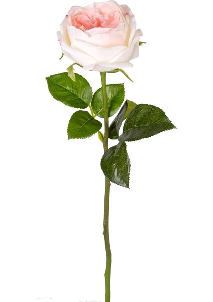 Yapay Çiçek Islak Dokulu Gül Beyaz-Pembe 48 Cm.