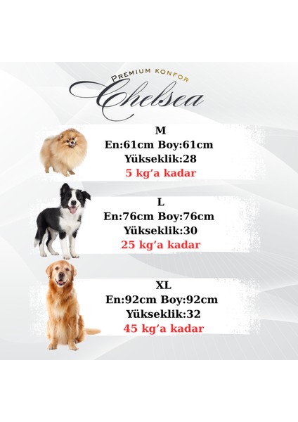 Chelsea Premium Konfor Kedi ve Köpek Yatağı– Yumuşak Dokulu, Yüksek Yan Duvar, Makinede Yıkanabilir indirimleri