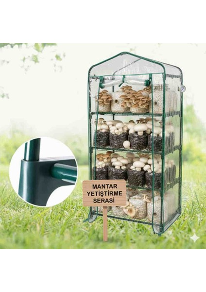 Mantar Yetiştirme Serası