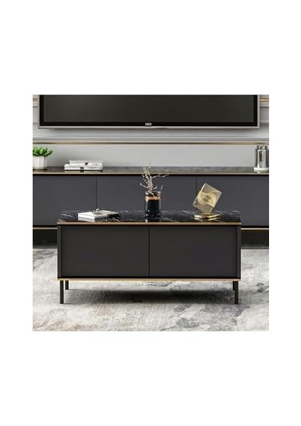 Dizayn Imaj Orta Sehpa (Mermer Desen) fiyatları