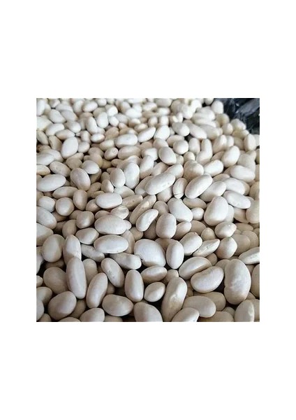 Elazığ Kuru Fasülyesi ( Horoz)