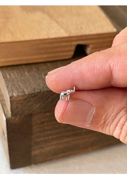 925 Ayar Gümüş Fil Tragus Kıkırdak Helix Piercingi Gümüş Piercing