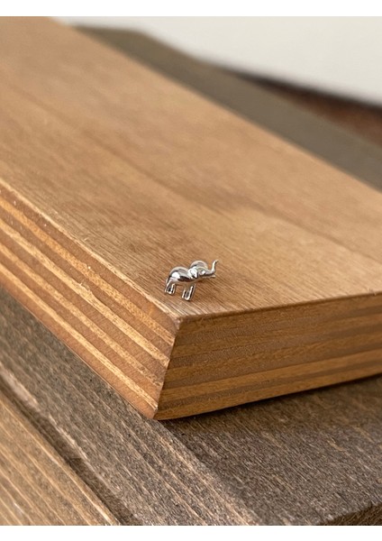 925 Ayar Gümüş Fil Tragus Kıkırdak Helix Piercingi Gümüş Piercing fiyatları