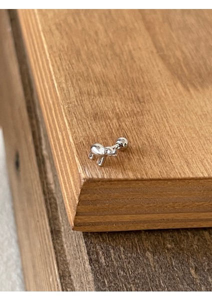 925 Ayar Gümüş Fil Tragus Kıkırdak Helix Piercingi Gümüş Piercing modelleri