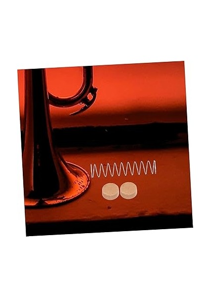 4 Takım Küçük Onarım Aracı Müzik Aletleri Aksesuarı O Ring Tampon Stoper Nefesli Çalgı Aksesuarları Trompet Vana Sistemi Saksafon Aksesuarları Yaylı Kateter Metal Parçası indirimleri