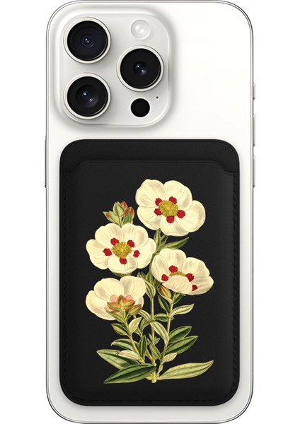 iPhone 11 12 13 14 15 16 17 Pro Max Plus Air Magsafe Mıknatıslı Siyah Kartlık Sarniç