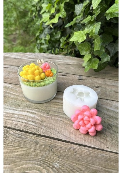 Concept Obtusa Sukulent Mum Kalıbı (Silikon)