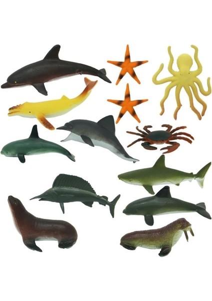 Okyanus Hayvanları Poşetli S00000704