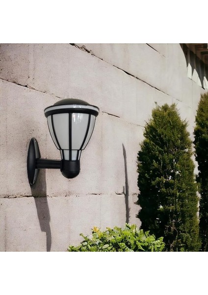Zita Kupa Bahçe Duvar Aplik Aydınlatma E27 Duy Siyah / 231 fırsatları