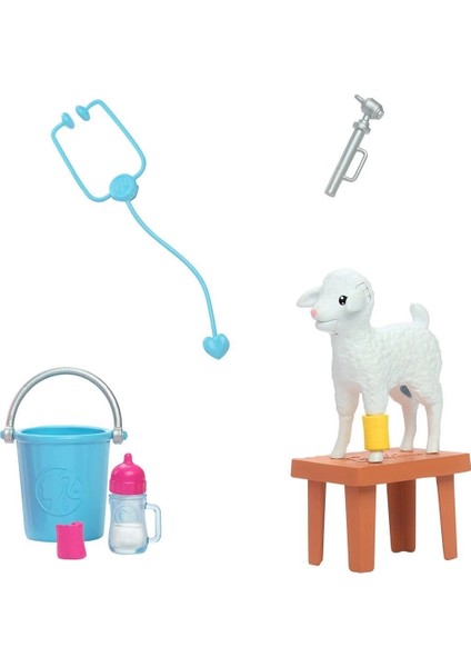 HRG42 Barbie 65. Yıl Deluxe Kariyer Bebekleri - Veteriner fırsatları
