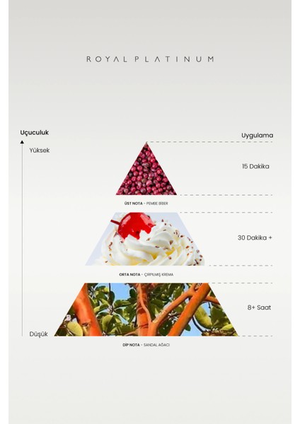 W127 Kadın Parfüm modelleri