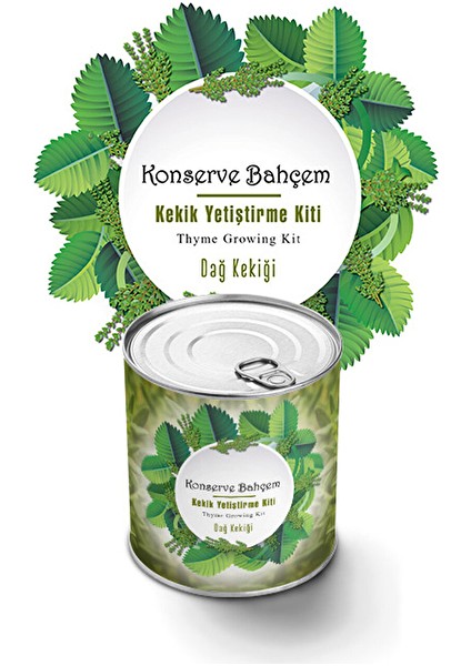 3 Adet Konserve Kekik Yetiştirme Kiti KB007