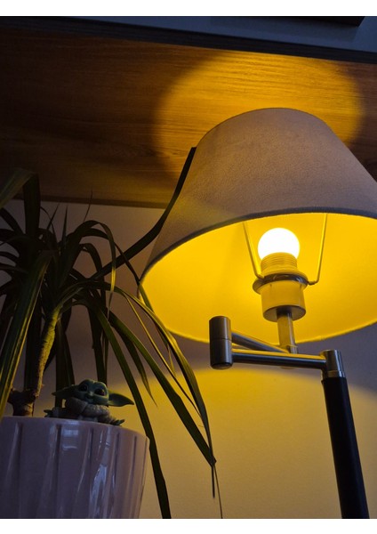 Lighting 1W LED Ampul, E27 Duy, Düşük Enerji Tüketimi | Gece Lambası fiyatları