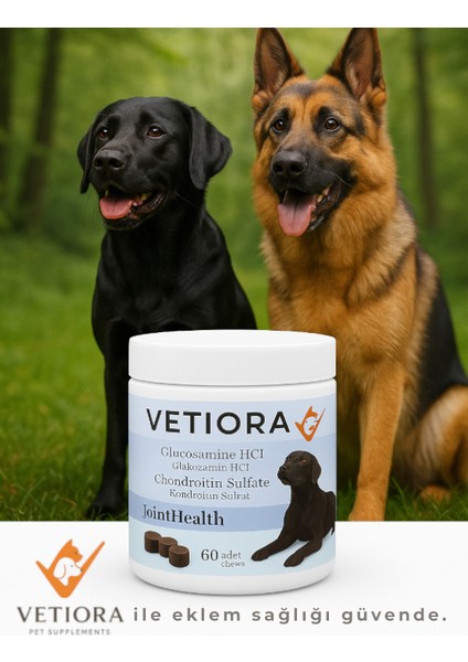 Köpek Kas ve Eklem Güçlendirici Glukozamin, Kondroitin, Msm, Hyaluronik, Ödül Maması Formunda 150 gr modelleri