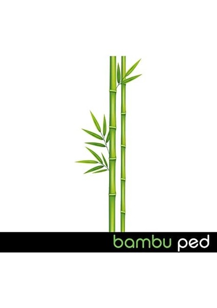 Ladyfit Bambu Gece 144&APOS;LÜ Vegan Ped (24 x 6 Adet) fiyatları