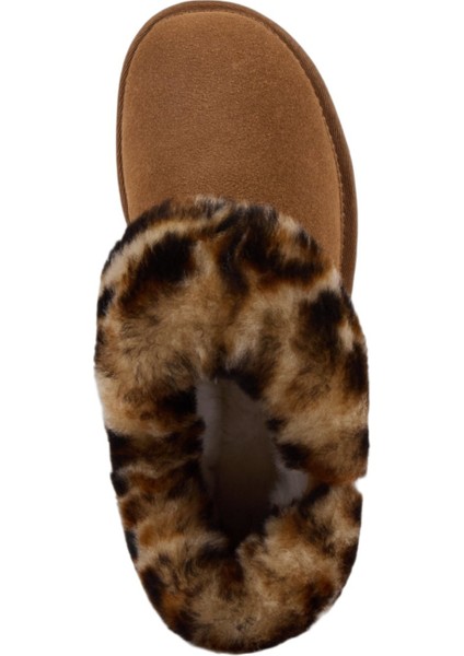 Baia Bow Kadın Siyah Bot indirimleri