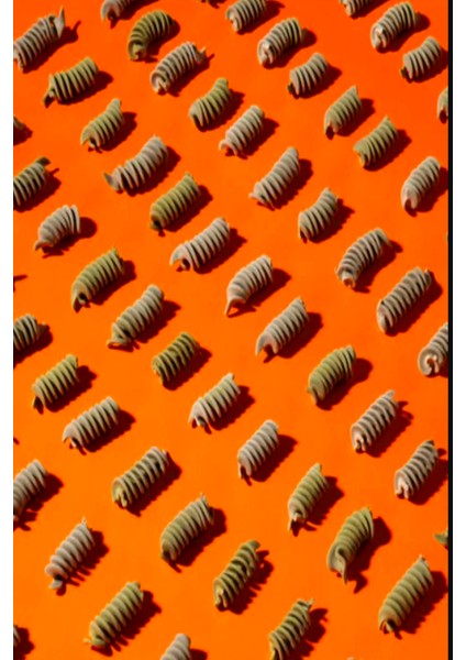 Ispanaklı Yeşil Mercimekli Burgu Makarna fiyatları