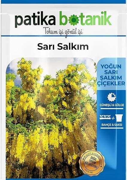 Botanik 20 Adet Sarı Salkım Ağaç Tohumu fiyatları