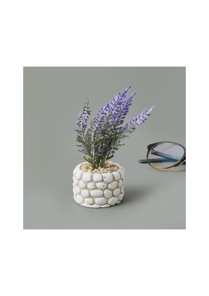 Mini Saksıda Lavanta - Asorti - 10X5X5 cm fiyatları