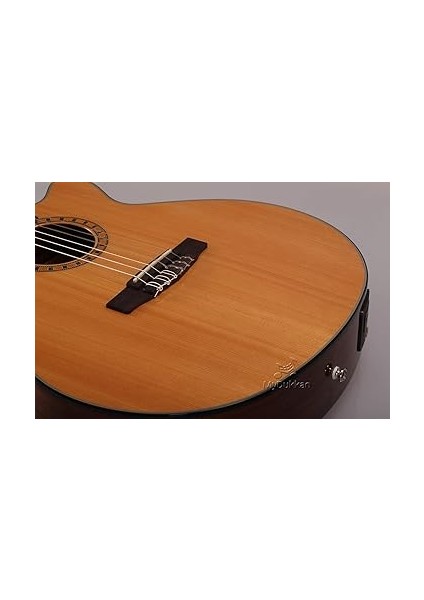 Cec5 Nat Elektro Klasik Gitar indirimleri