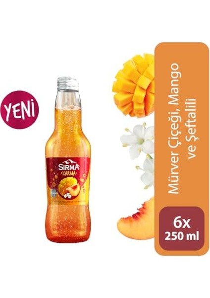 Sırma Karma Mango ve Mürver Çiçeği Aromalı Şeftalili Doğal Maden Suyu 6X250 ml fiyatları