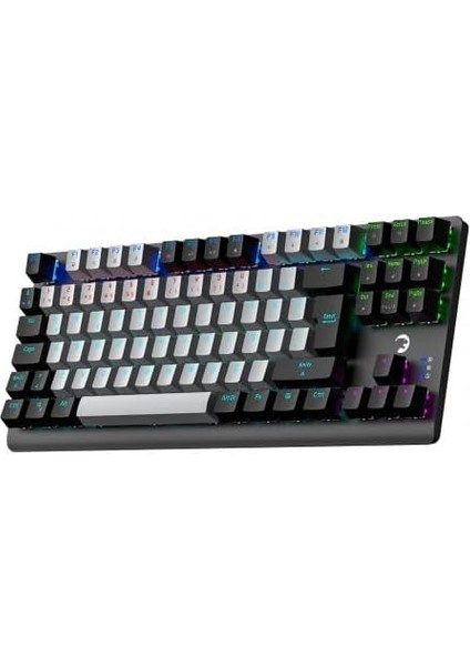 Power Eva 3 60M Mekanik Red Switch Türkçe Q 88 Tuş USB Gaming Klavye - 3 Yıl Garantili