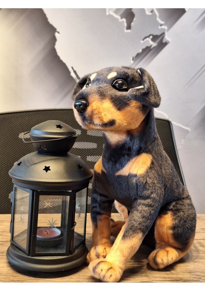 Sevimli Doberman Köpeği 35CM