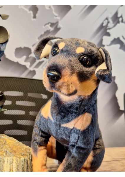 Sevimli Doberman Köpeği 35CM fiyatları